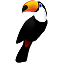 Toucan